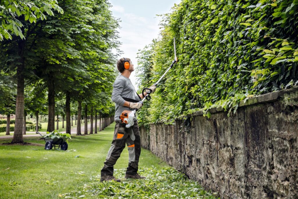 Hedge Trimming