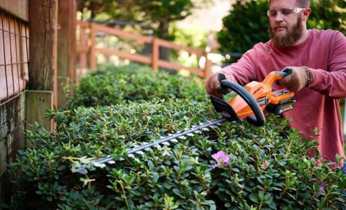 Hedge Trimming