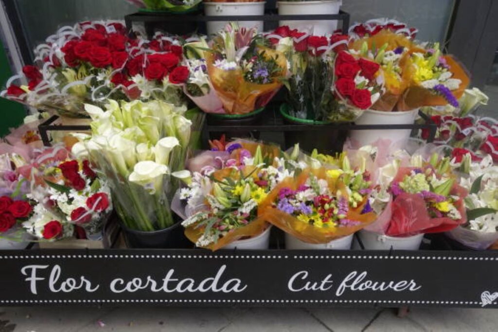 flowers cremorne